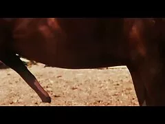 取得性別とともに彼女の彼氏にカメラ 女性 av sm